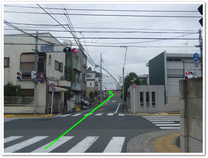 �C���V���ʐ^